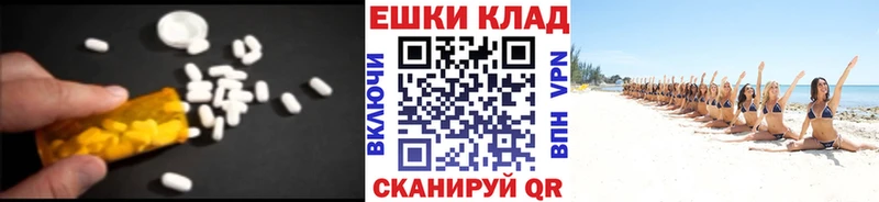 OMG   Кедровый  Экстази Punisher  купить наркотики цена 