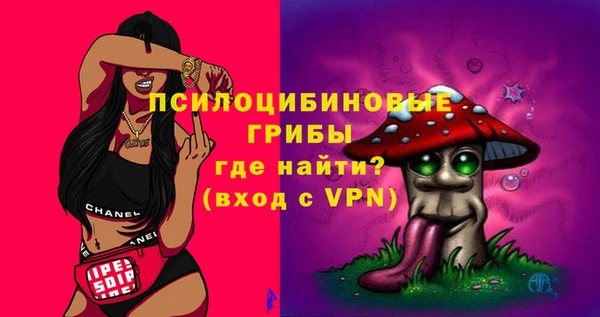 гашик Покачи