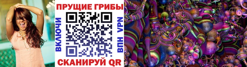 Галлюциногенные грибы мухоморы  закладка  Кедровый 