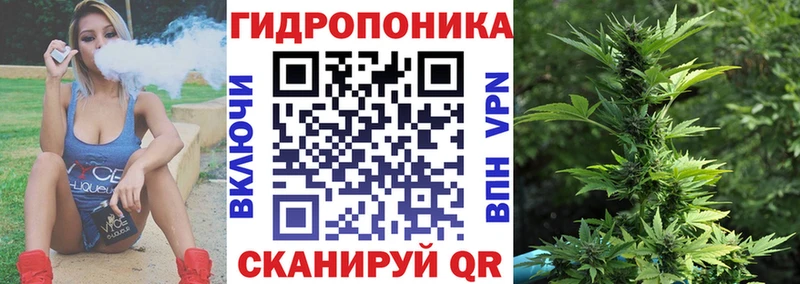 Бошки Шишки AK-47 Кедровый